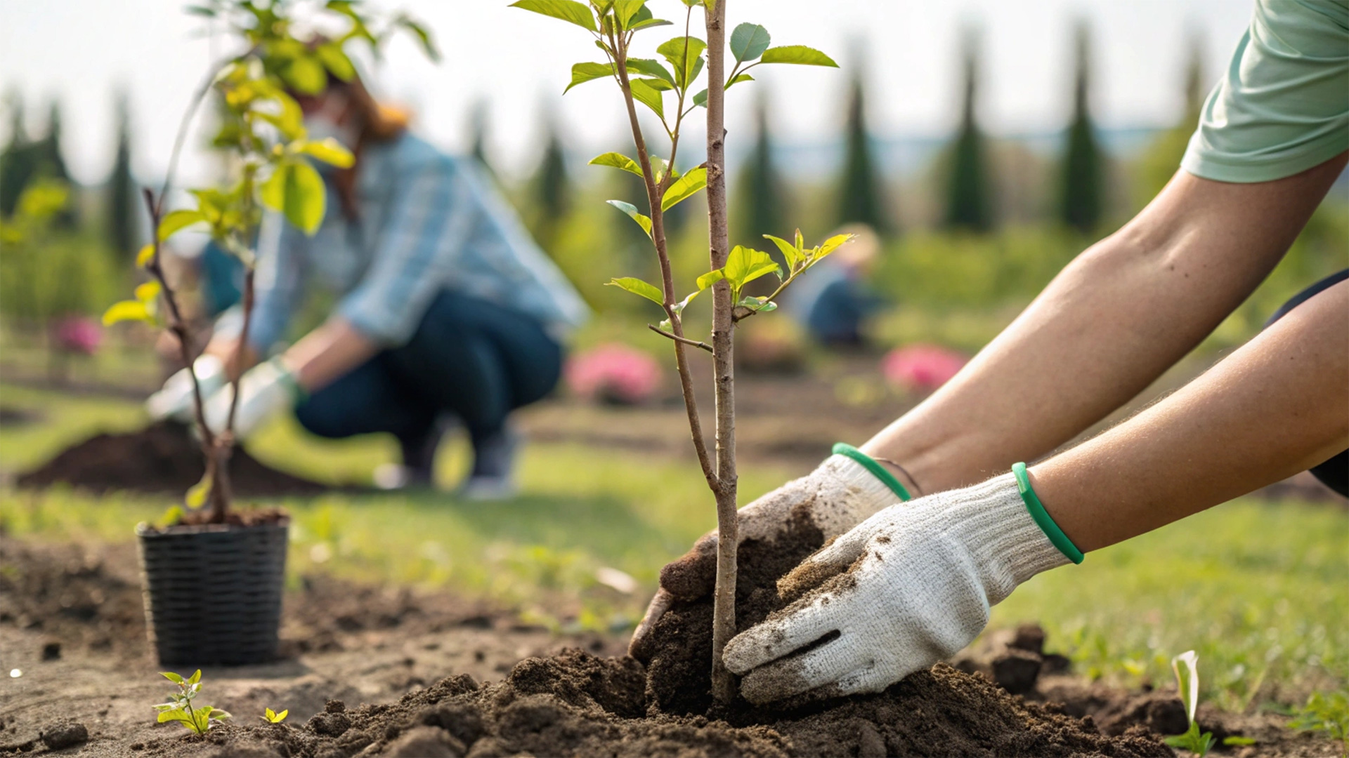 Image of lightning striking behind a house with solar panels, highlighting renewable energy in severe weather.